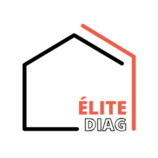 Logo élite diag